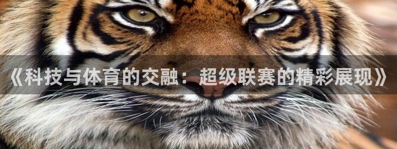 《科技与体育的交融：超级联赛的精彩展现》