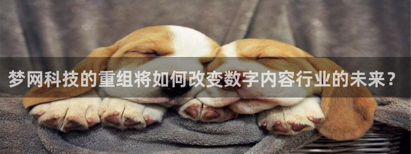 梦网科技的重组将如何改变数字内容行业的未来？